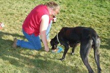 Good Dogs Eat Their Greens